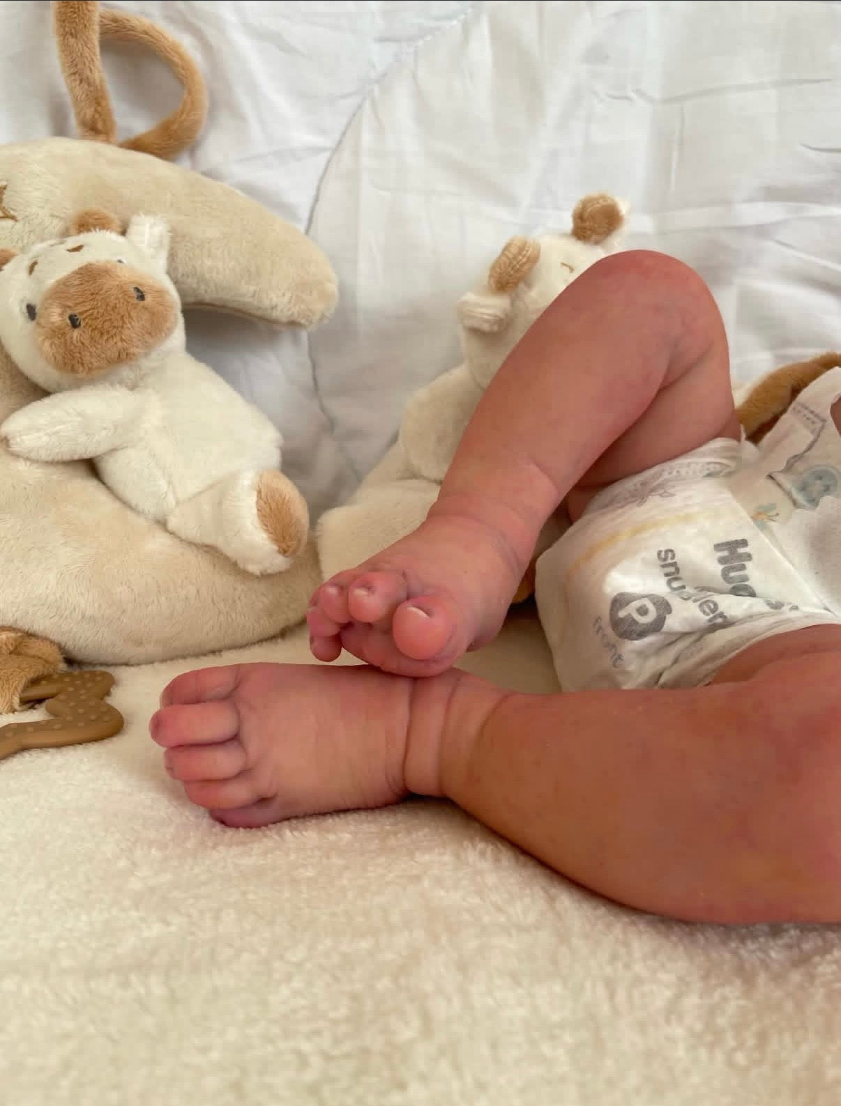 Muñeco Reborn Realista Ryan Niño 50cm y 1.700 kg